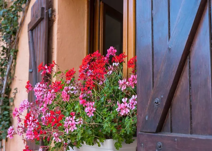 Rocce Sarde Hotel 4*