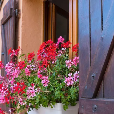 Rocce Sarde Hotell 4*