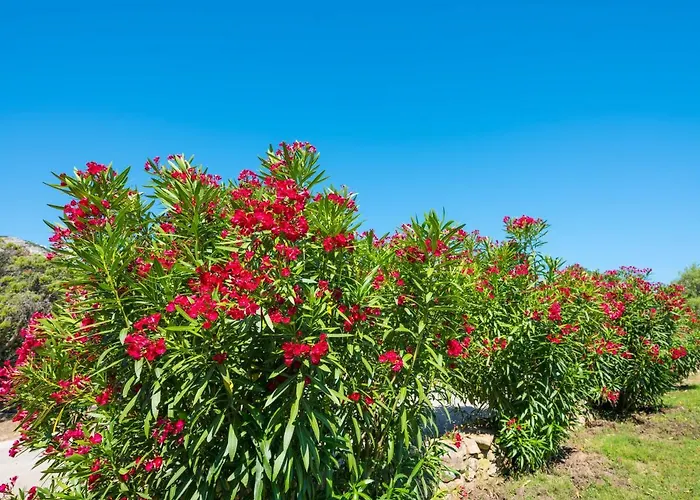 Hotel Rocce Sarde San Pantaleo